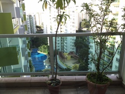 The Warren (D23), Condominium #189364142